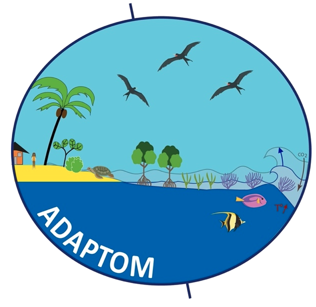 Adaptom