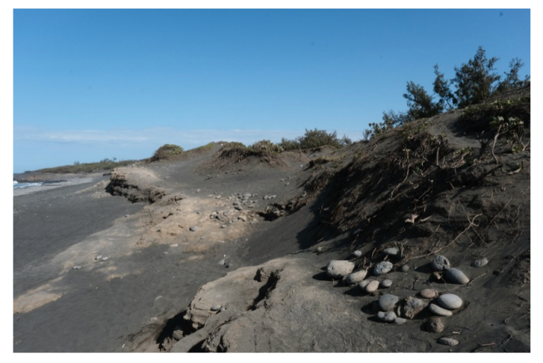 Au centre de la photo, la partie sur système plage-dune qui a été rerofilée, le talus d’érosion paraît moins marqué que sur les prtions adjacentes qui n’ont pas bénéficié d’une opération de reprofilage. (Crédit : Hatton I., 2022).