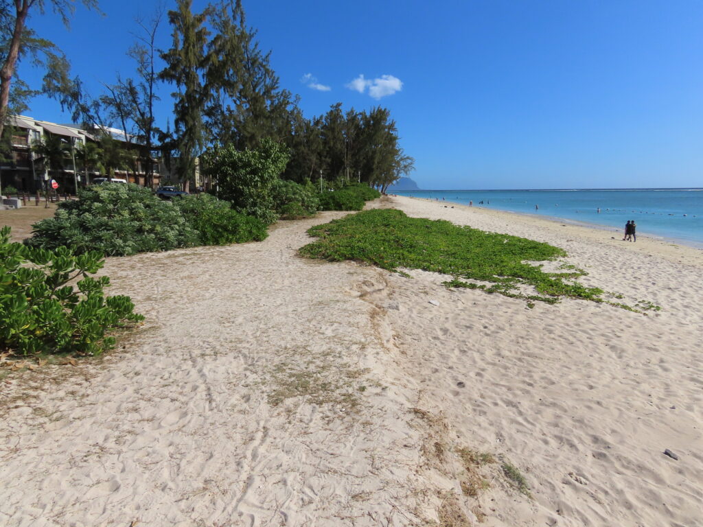 Île Maurice 3