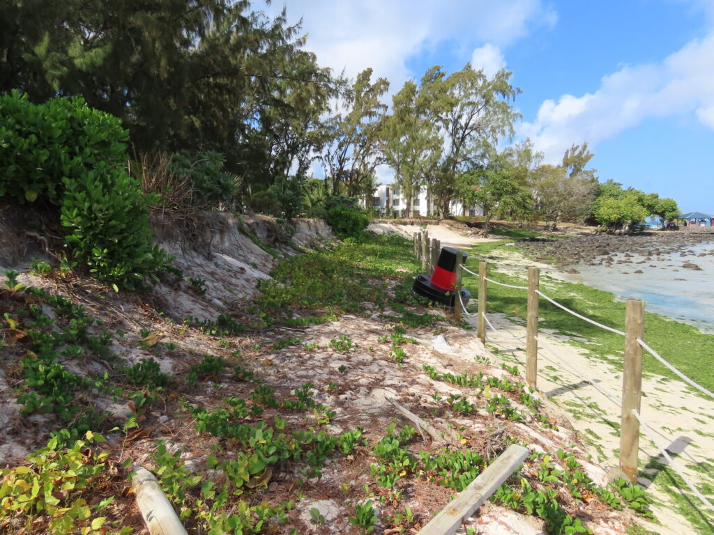 Île Maurice 7